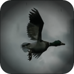 legendaryhuntervr手机版