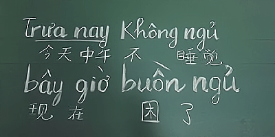 越南语翻译软件