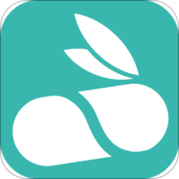 飞兔药城软件