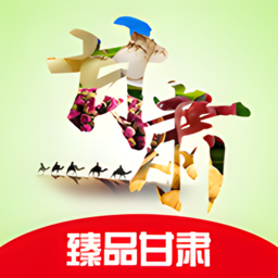 臻品甘肃电子商务平台