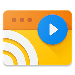 web video caster官方版