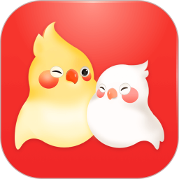 婚前婚后app下载