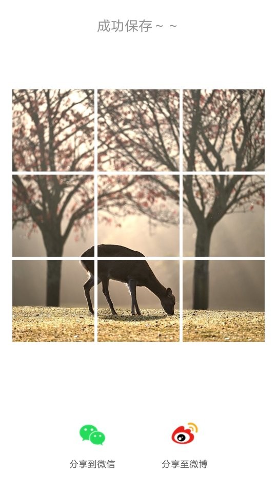 九宫格图片素材 v1.0.8 安卓版0