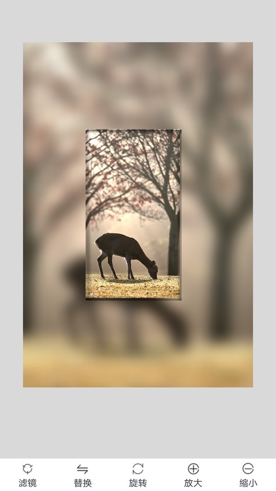 九宫格图片素材 v1.0.8 安卓版1