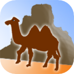 楼兰24小时直播