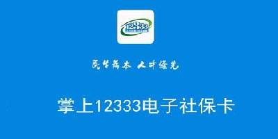 12333软件