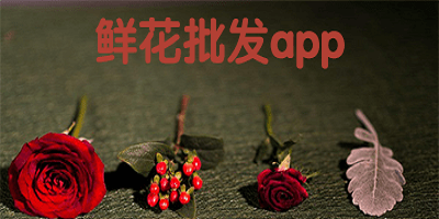 鲜花批发app