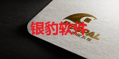 银豹软件