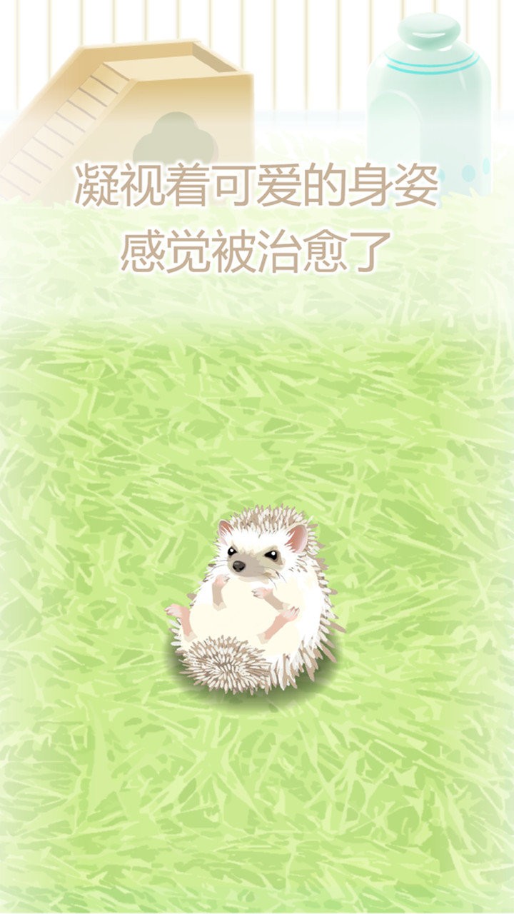 治愈的猬育成游戏最新版 治愈的猬育成游戏官方版