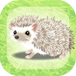 治愈的猬育成游戏手机版