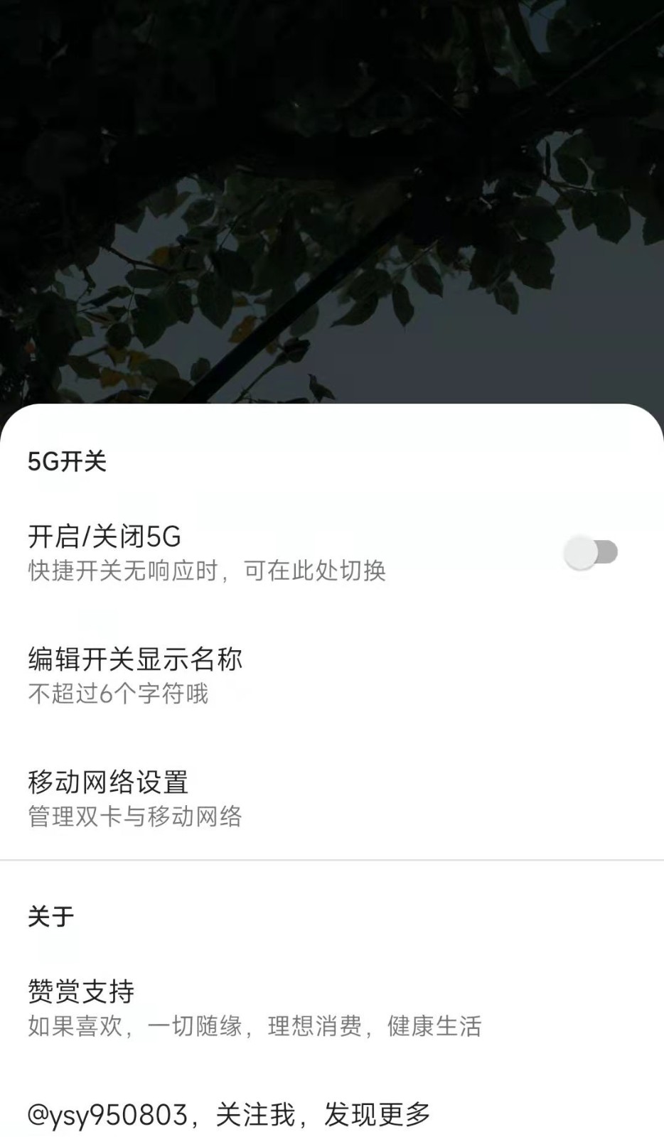 MIUI5G开关插件 v1.3.8 安卓版2