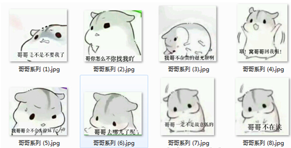 小仓鼠系列表情包图片集 0