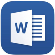 word2010