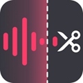 金舟音频大师电脑版